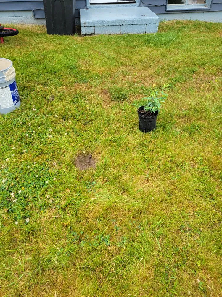 Expert garden landscaping in Hyde, PA - Dano's Lawn Care