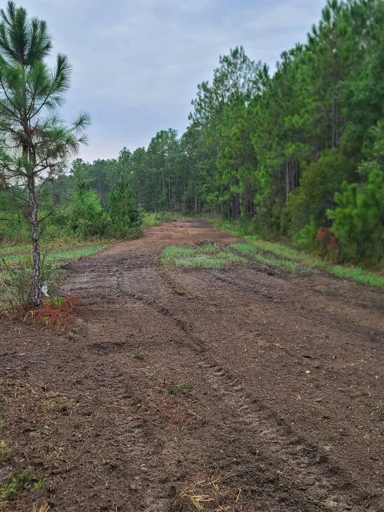 Custom residential landscaping for year-round maintenance across Bay St. Louis, MS - Danos Lawn Service & Tractor Work