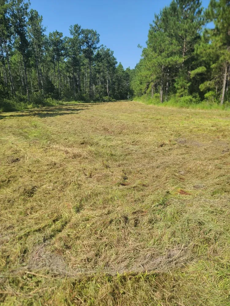 Professional residential landscaping in Bay St. Louis, MS by Danos Lawn Service & Tractor Work