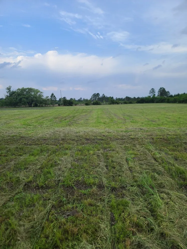 Affordable landscape design in Bay St. Louis, MS - Danos Lawn Service & Tractor Work