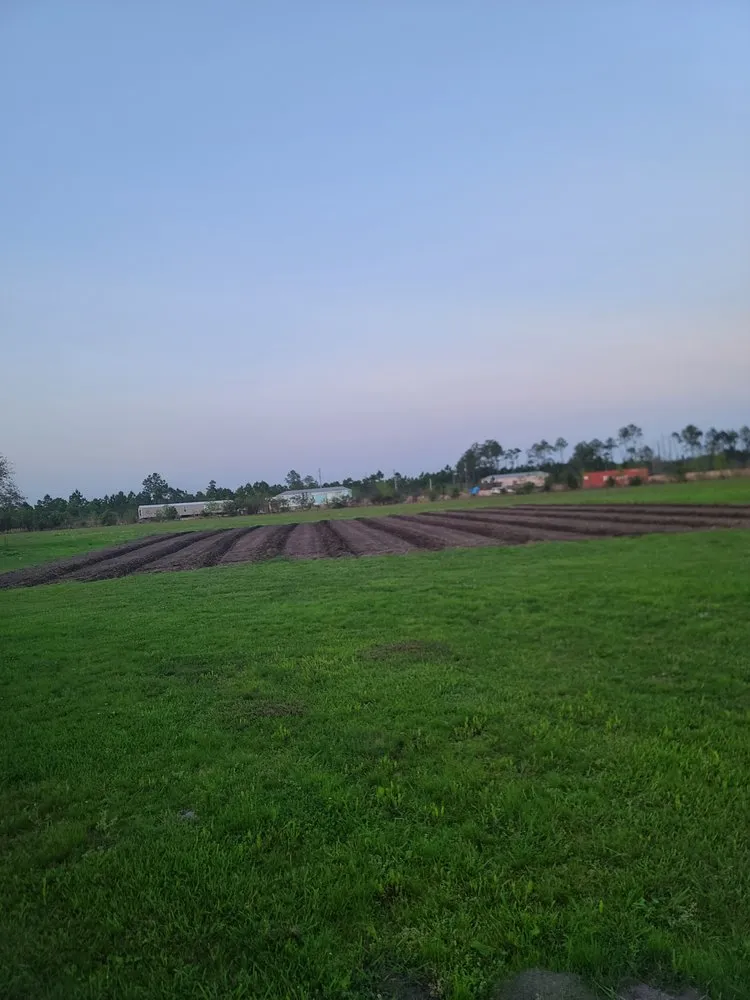 Expert yard maintenance for homes in Bay St. Louis, MS by Danos Lawn Service & Tractor Work