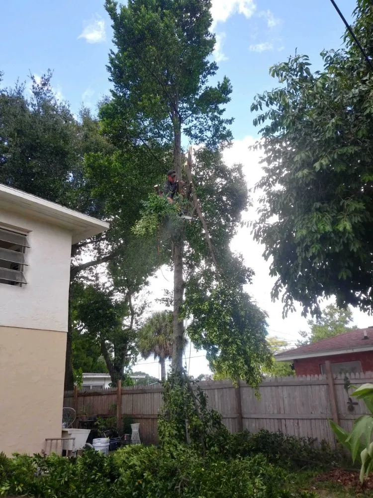 Local garden landscaping in St. Petersburg, FL - Dan's A1 Tree Service