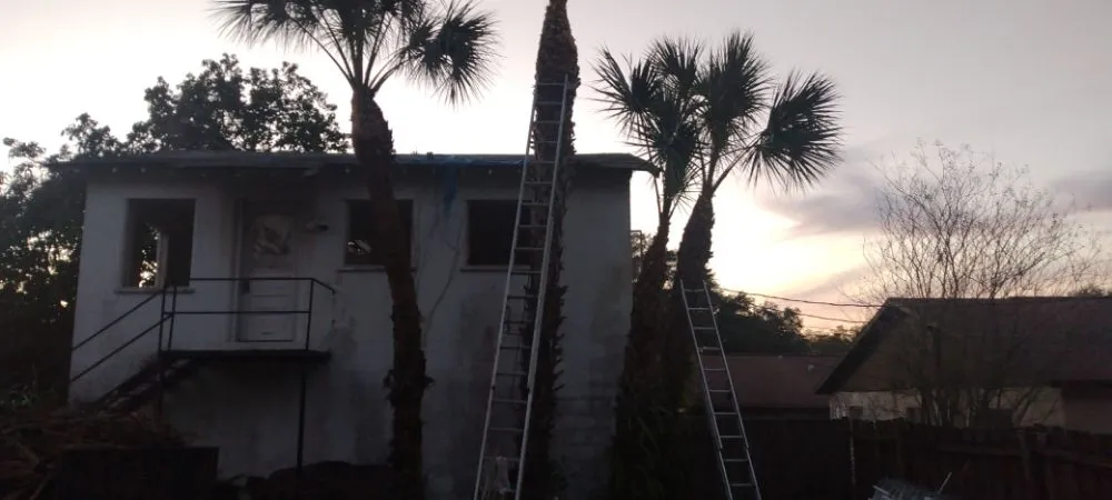 Custom landscape design with custom design in St. Petersburg, FL by Dan's A1 Tree Service