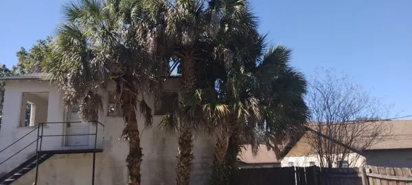 Dan's A1 Tree Service Logo