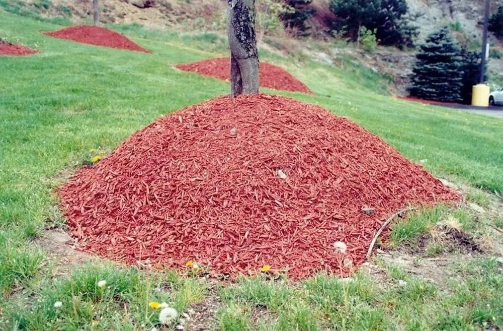 Reliable outdoor landscaping for year-round maintenance in Stanhope, NJ by Dans Affordable Landscaping