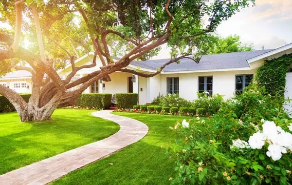 Dans Affordable Landscaping