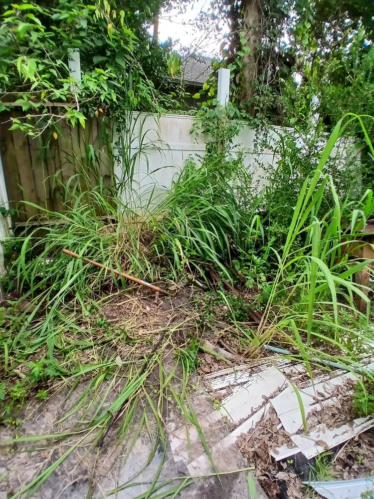 Top-rated residential landscaping experts serving Daytona Beach, FL - Dans Affordable Lawn Care Services