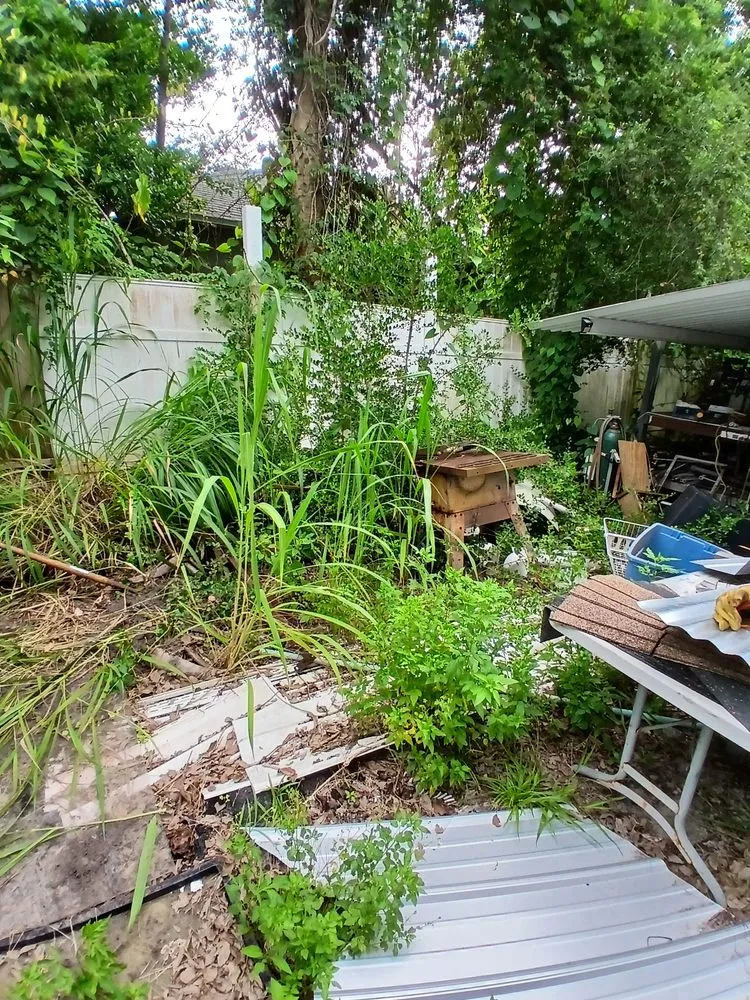 Trusted landscaping services in Daytona Beach, FL - Dans Affordable Lawn Care Services