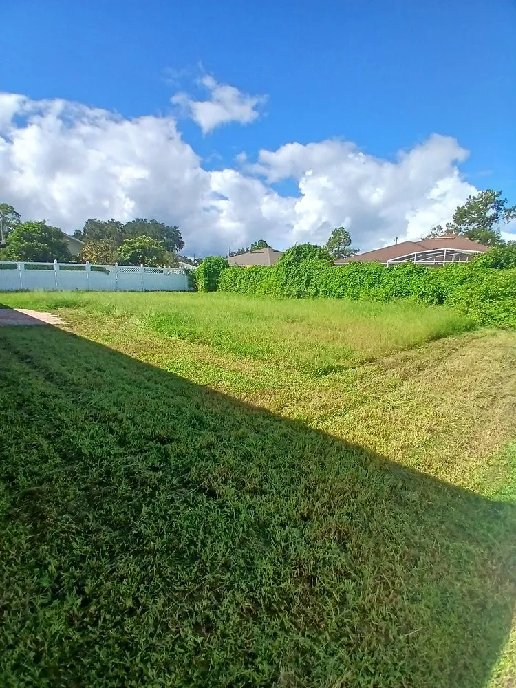 Local landscaping services for beautiful yards across Daytona Beach, FL - Dans Affordable Lawn Care Services