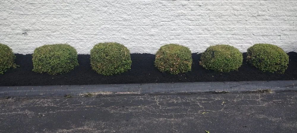 Reliable landscape installation for outdoor upgrades in Springfield, OH by Dan's Budget Lawn and Landscaping