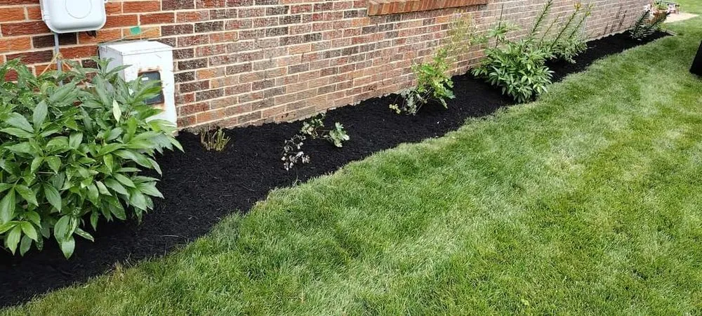 Local yard cleanup service experts serving Springfield, OH - Dan's Budget Lawn and Landscaping