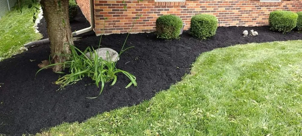 Reliable lawn care service for outdoor upgrades in Springfield, OH by Dan's Budget Lawn and Landscaping