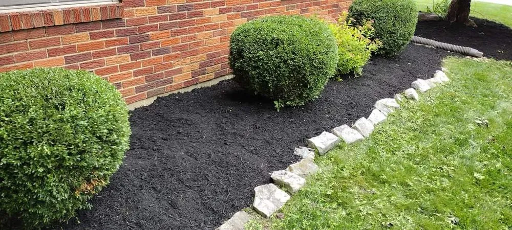 Professional lawn mowing service for beautiful yards across Springfield, OH - Dan's Budget Lawn and Landscaping