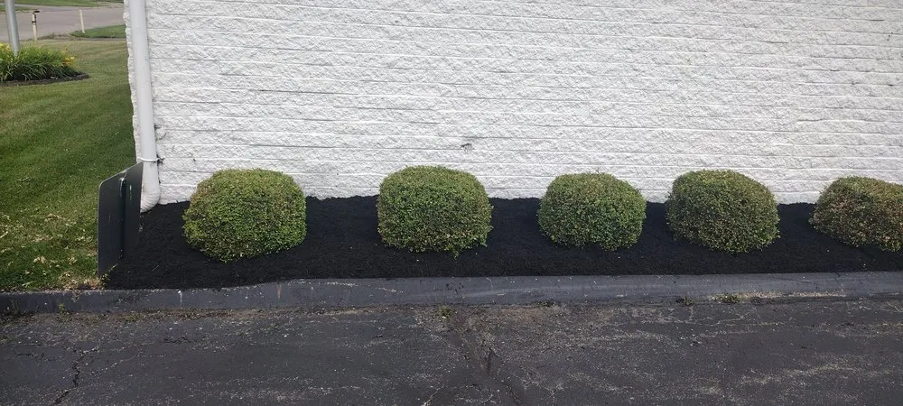 Top-rated outdoor landscaping in Springfield, OH by Dan's Budget Lawn and Landscaping