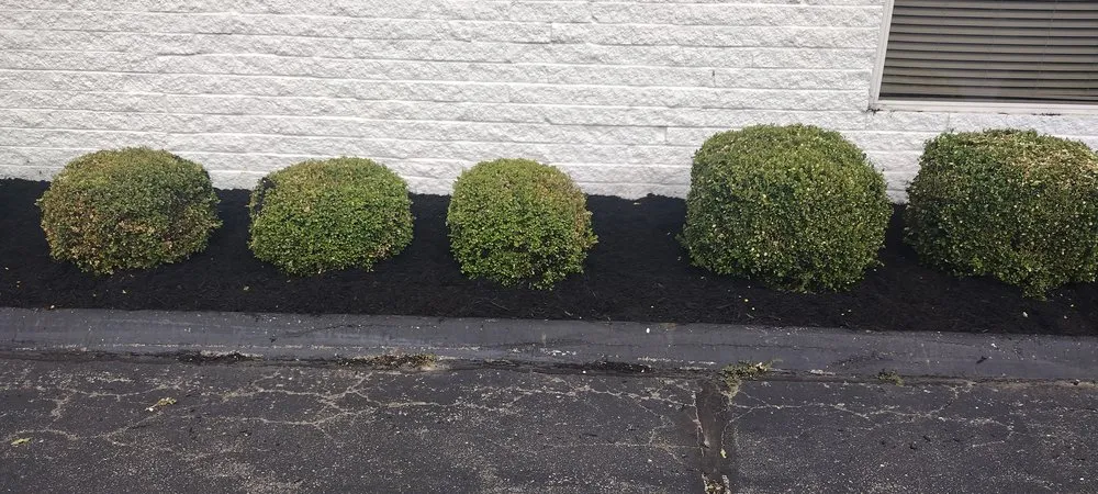 Custom outdoor landscaping near you across Springfield, OH - Dan's Budget Lawn and Landscaping