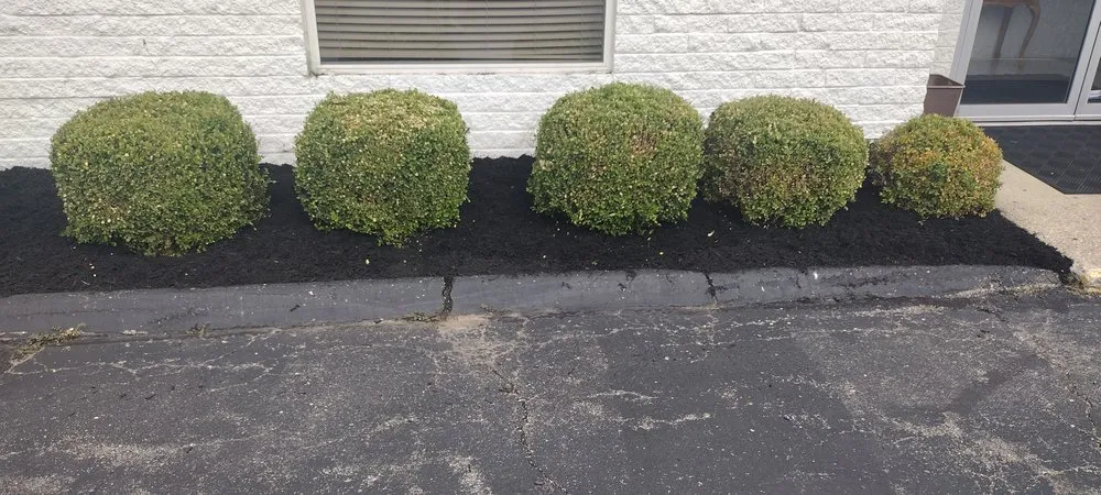 Trusted yard cleanup service for homes in Springfield, OH by Dan's Budget Lawn and Landscaping