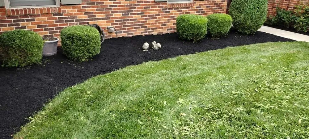 Local yard maintenance for residential properties in Springfield, OH by Dan's Budget Lawn and Landscaping
