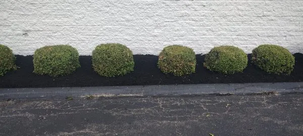 Dan's Budget Lawn and Landscaping Logo