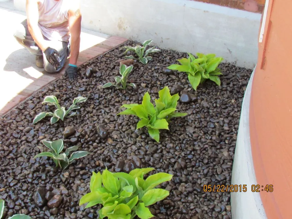 Local lawn care service for homes in Waterloo, NY by Dan's Design Landscape Construction