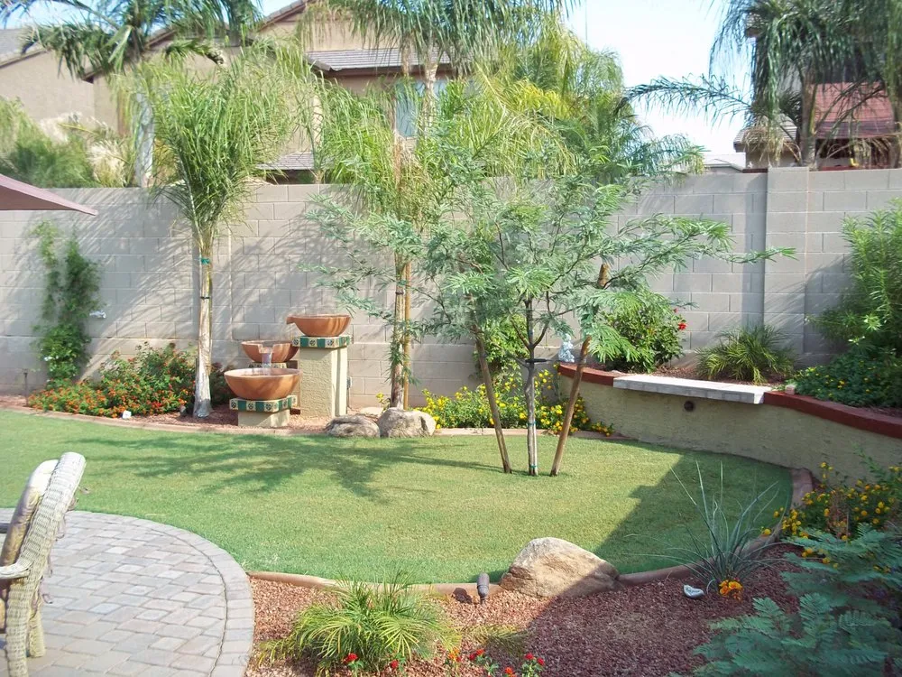 Reliable yard cleanup service for year-round maintenance in Phoenix, AZ by Dan's Environmental Specialties