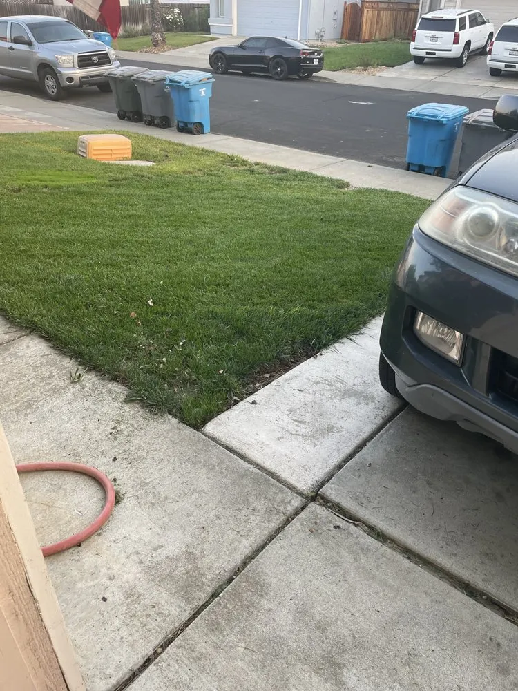 Affordable yard maintenance in Vacaville, CA by Dan’s Handyman Services