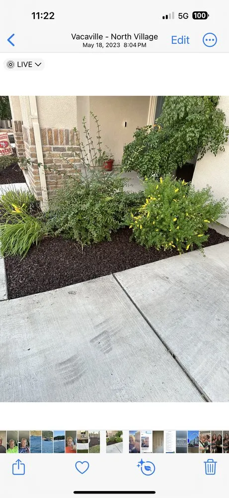 Local landscape design near you in Vacaville, CA by Dan’s Handyman Services