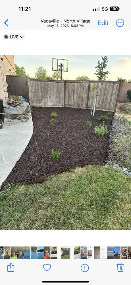 Affordable lawn mowing service experts serving Vacaville, CA - Dan’s Handyman Services