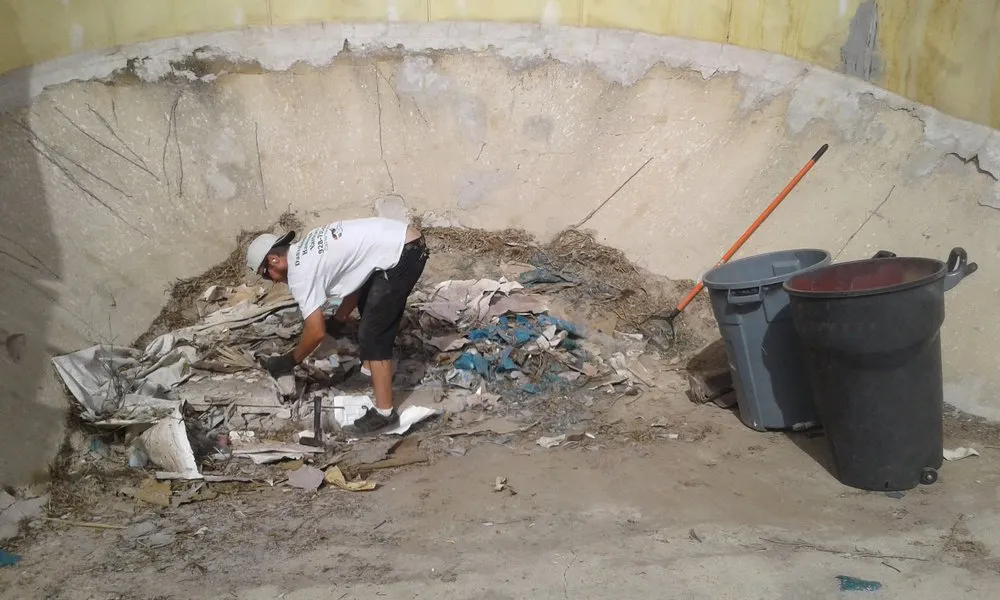 Expert lawn care service with custom design across Lake Havasu City, AZ - Dan's Hedging, Hauling & Yardcare