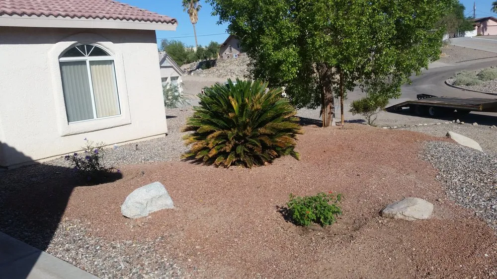 Professional landscape installation in Lake Havasu City, AZ by Dan's Hedging, Hauling & Yardcare