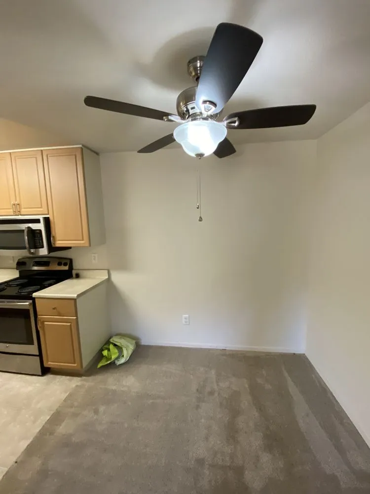 Trusted yard maintenance experts serving Davis, CA - Dan’s Home Solutions