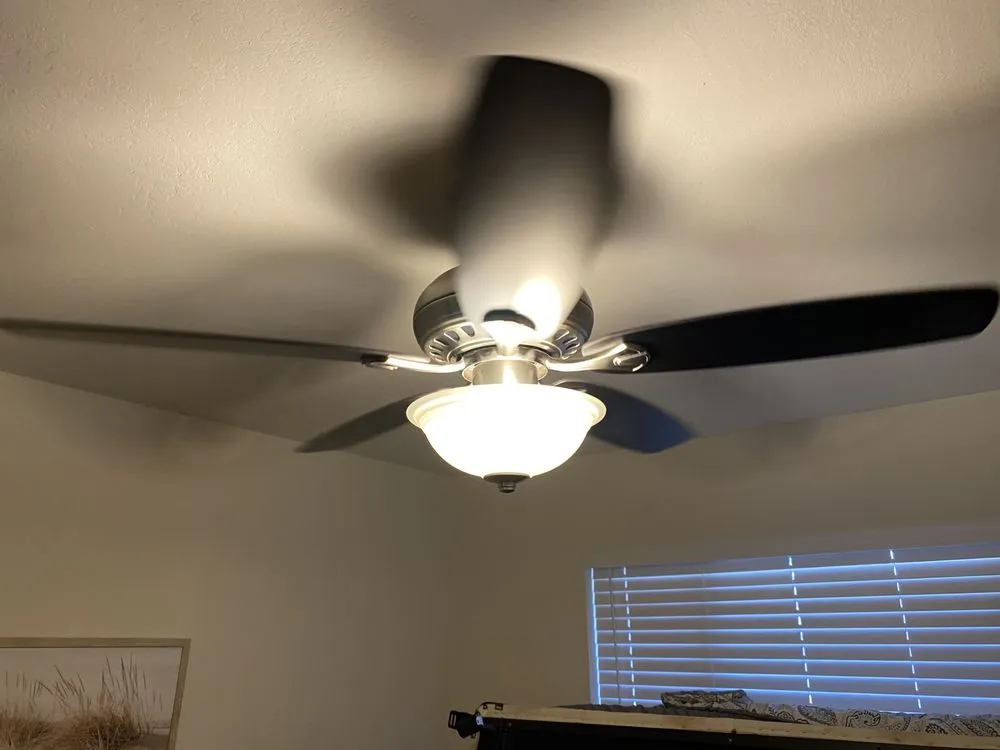 Local yard maintenance near you in Davis, CA by Dan’s Home Solutions