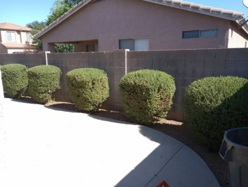 Affordable landscape design for residential properties in Phoenix, AZ by Dan's Junk Hauling Services