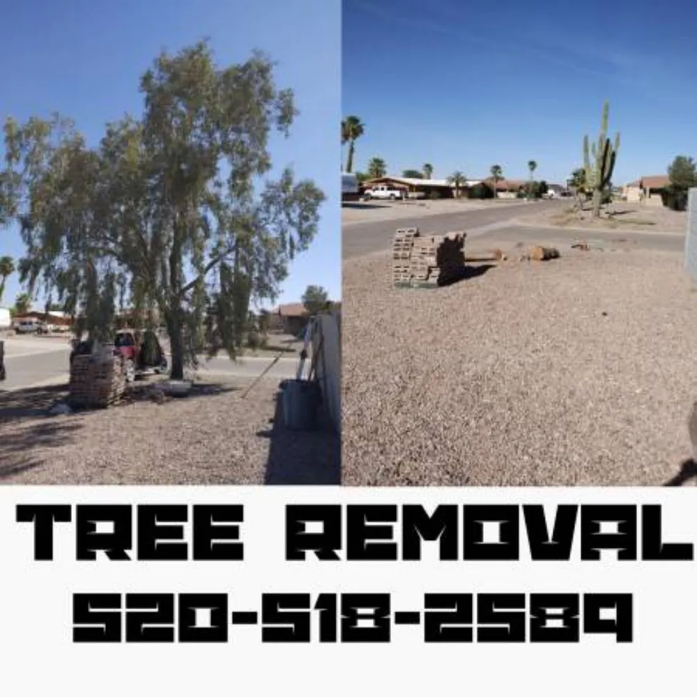 Local residential landscaping experts serving Phoenix, AZ - Dan's Junk Hauling Services