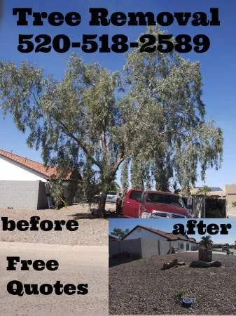 Professional outdoor landscaping for year-round maintenance across Phoenix, AZ - Dan's Junk Hauling Services