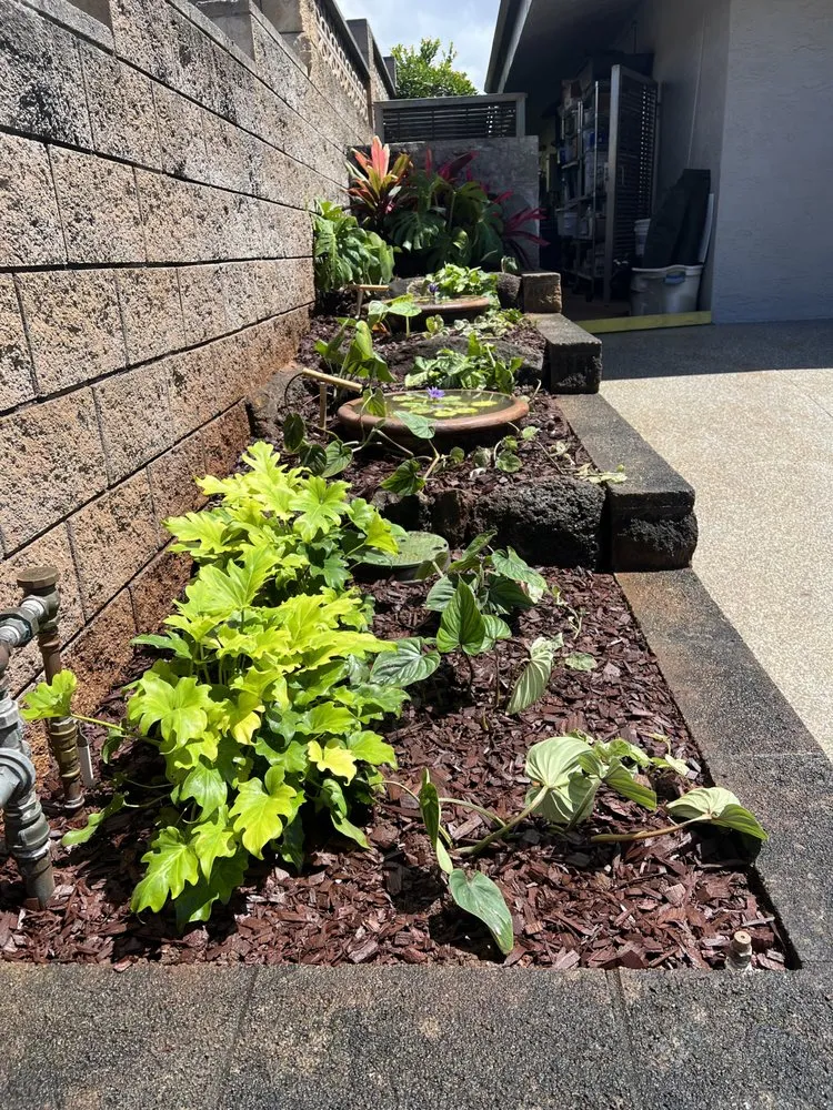 Reliable residential landscaping in Honolulu, HI - Dan's Landscape & Yard Maintenance