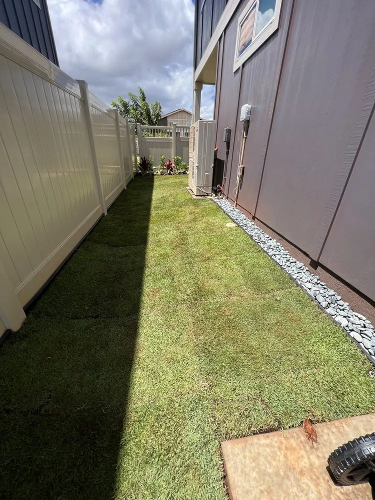 Expert yard cleanup service in Honolulu, HI by Dan's Landscape & Yard Maintenance