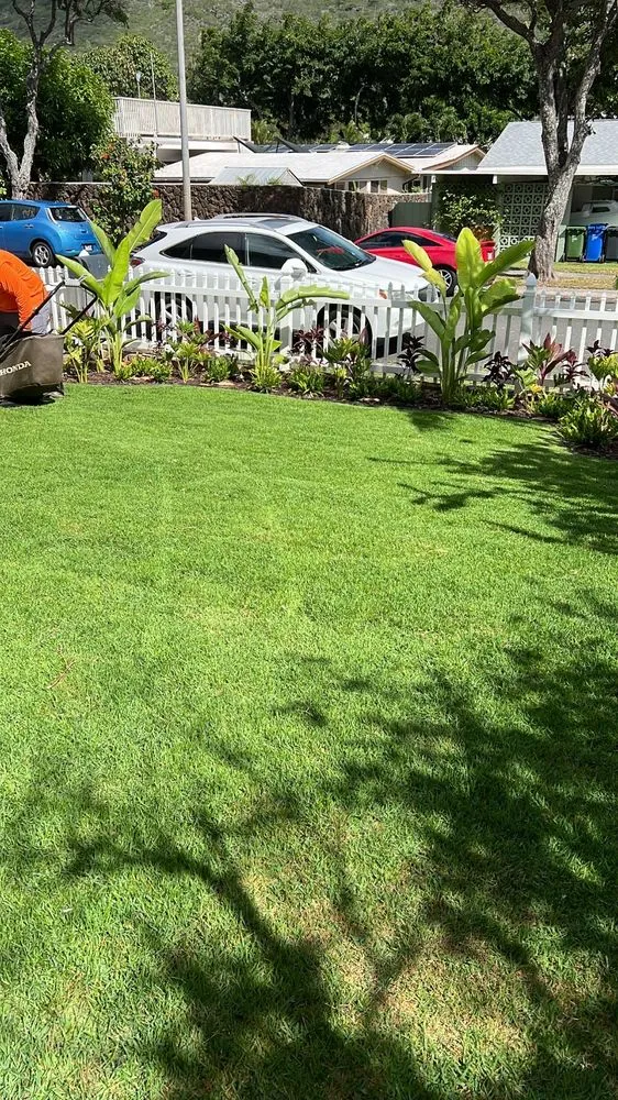 Expert yard cleanup service in Honolulu, HI - Dan's Landscape & Yard Maintenance
