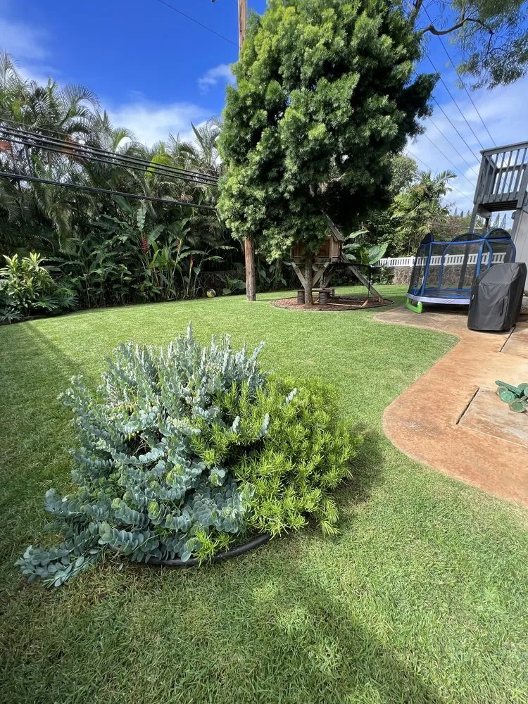 Affordable residential landscaping experts serving Honolulu, HI - Dan's Landscape & Yard Maintenance