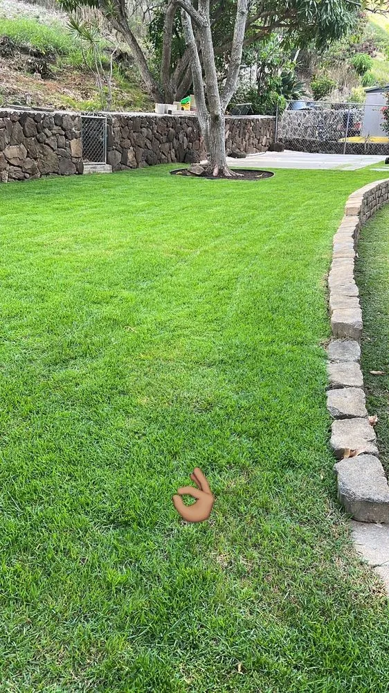 Local outdoor landscaping in Honolulu, HI by Dan's Landscape & Yard Maintenance