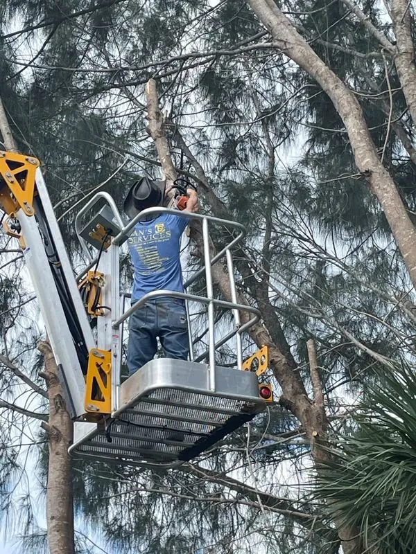 Top-rated lawn mowing service in Punta Gorda, FL by Dan's Landscaping Care Services