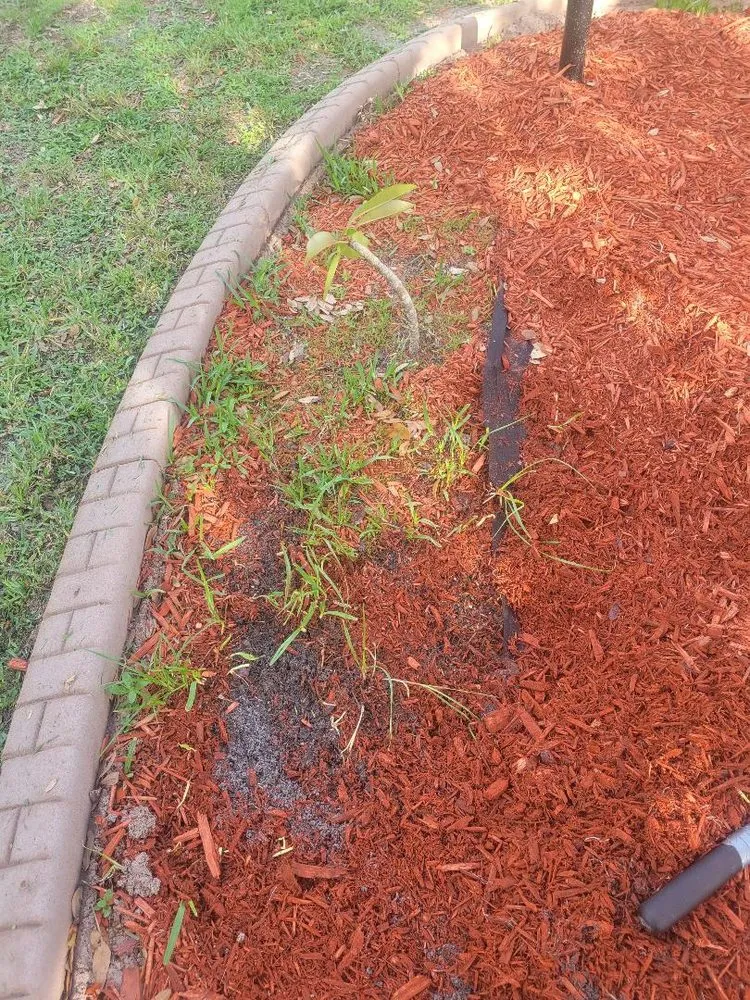 Custom landscaping services for year-round maintenance across Punta Gorda, FL - Dan's Landscaping Care Services