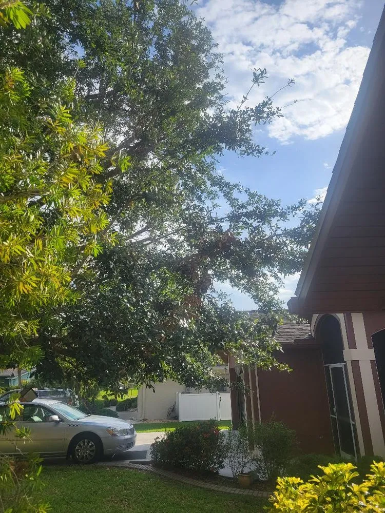 Local residential landscaping experts serving Punta Gorda, FL - Dan's Landscaping Care Services