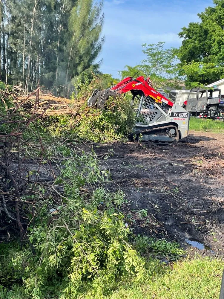 Top-rated landscape installation experts serving Punta Gorda, FL - Dan's Landscaping Care Services