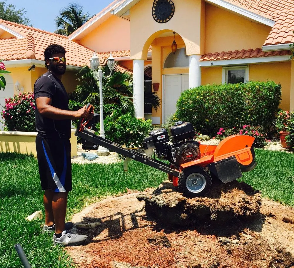 Local lawn care service for year-round maintenance in Punta Gorda, FL by Dan's Landscaping Care Services