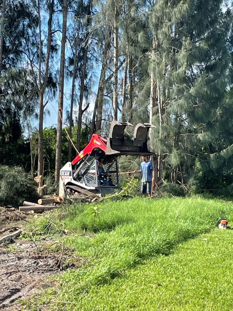 Affordable landscaping services experts serving Punta Gorda, FL - Dan's Landscaping Care Services