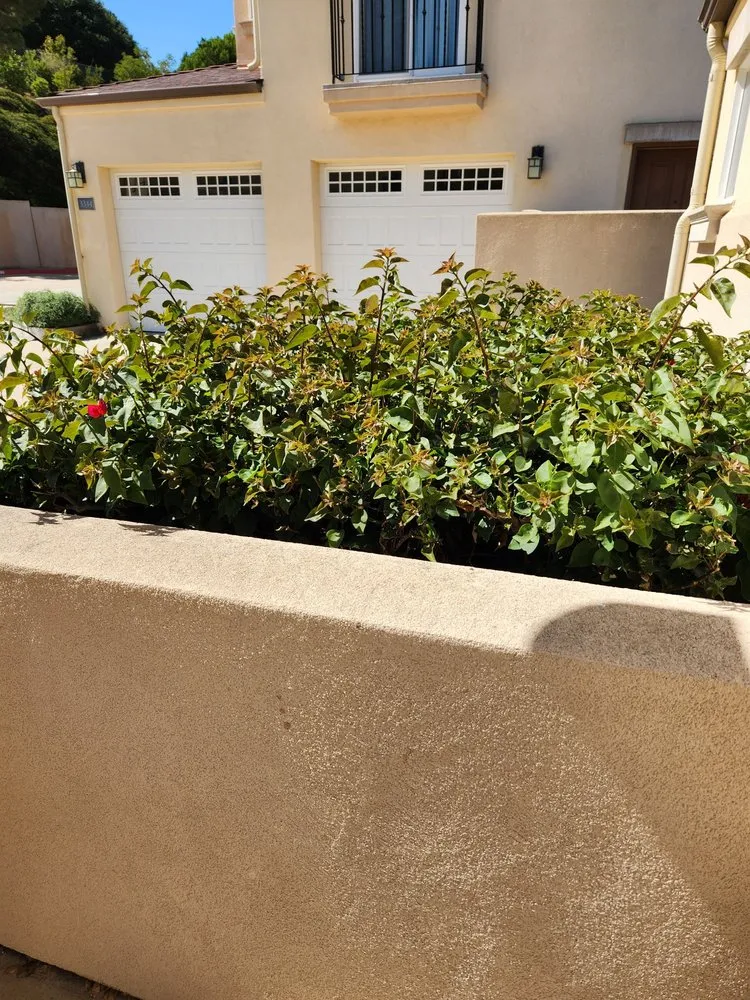 Reliable landscape design experts serving San Luis Obispo, CA - Dan's Landscaping Company