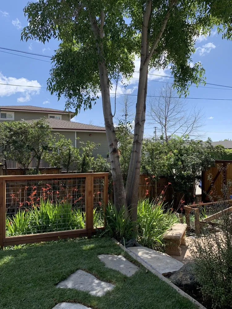 Local lawn mowing service experts serving San Luis Obispo, CA - Dan's Landscaping Company