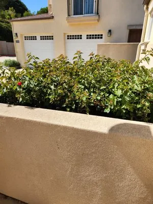 Dan's Landscaping Company Logo