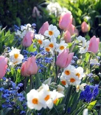 Dan's Landscaping Logo