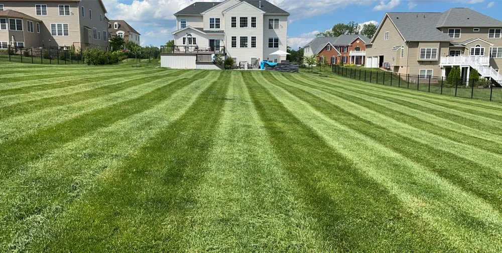 Trusted yard cleanup service in Bel Air, MD by Dans landscaping services